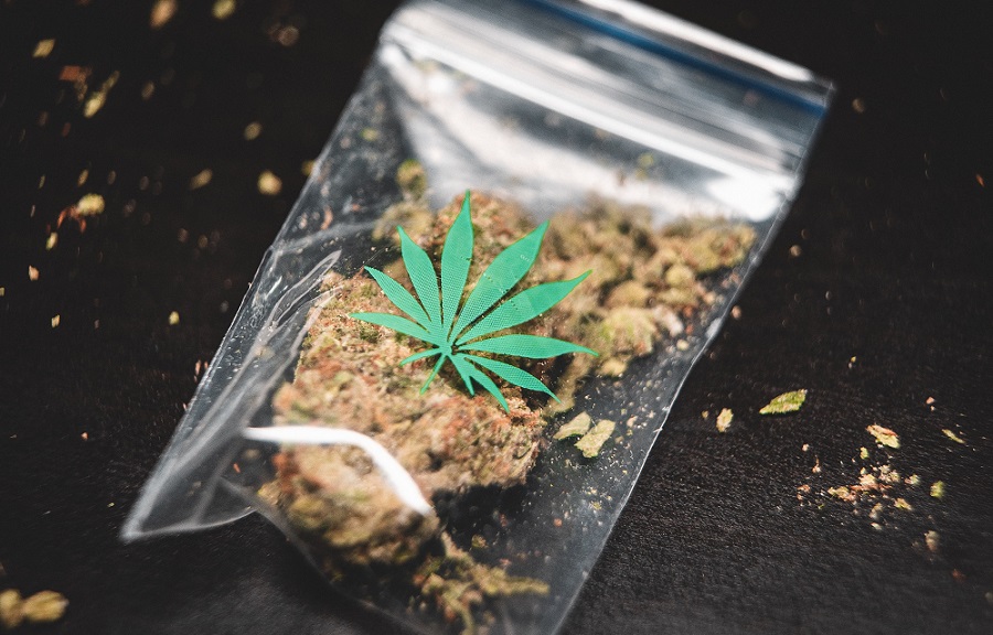 bolsas de flores de marihuana