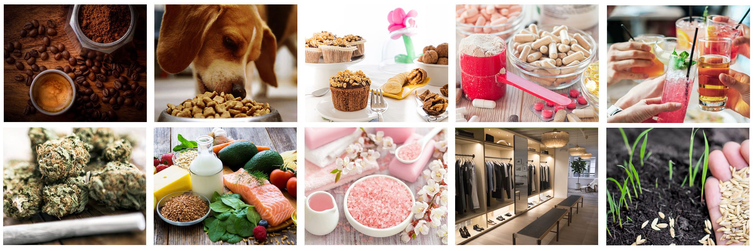 Industrial Greenbiobag serviert