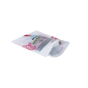 Gravure Printing Fashion Clear Plastic Zip Lock Bags with Tear Notch Wholesale